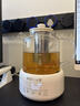 小质养生壶1.5L全玻璃花茶壶带炖盅0胶水0金属恒温煮茶器办公室热牛奶神器保温家用烧水电热水壶YSH12B 实拍图