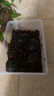 龟真寿 椰砖1块 椰土无菌乌龟冬眠土爬虫垫材保湿蜘蛛角蛙爬宠用品 实拍图