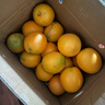 土八鲜江西橙子赣南脐橙新鲜水果赣州脐橙手剥甜橙礼盒 奋进橙9-10斤【果径75-85mm】 实拍图