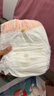 碧芭宝贝拉拉裤大鱼海棠成长裤婴儿尿不湿宝宝训练裤夏季凉爽尿裤 mini装XL码-17片（12~17kg） 实拍图