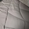 雅鹿·自由自在A类被子抗菌春秋冬季棉被芯单双人宿舍学生5斤150x200cm 古典灰 实拍图