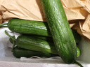 京鲜生 山东水果黄瓜 净重3斤 单果70g+ 青瓜荷兰瓜 源头直发 实拍图