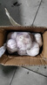山东金乡蒜大蒜出口标准精选大蒜头蔬菜调料单果5cm 出口标准网兜装箱 455g 5-5.5cm特大 实拍图