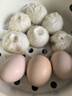 初土记有机土鸡蛋2.5斤纯粮散养 新鲜鸡蛋 30枚土鸡蛋中秋礼盒 原产地 实拍图