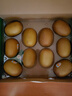 佳沛（zespri）新西兰  阳光金奇异果10粒礼盒巨大果单果约144-175g 水果 猕猴桃 实拍图
