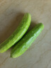 京鲜生 海阳白玉黄瓜 净重3斤 生吃水果黄瓜 新鲜现摘减脂餐 源头直发 实拍图