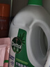 滴露（Dettol）衣物除菌液 松木3L 内衣儿童衣物杀菌除螨 衣服洗衣衣物消毒液 实拍图