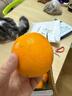 正宗赣南早脐橙整箱新鲜早橙子赣州产地直发超甜皮薄多汁水果礼盒 净重4.5斤小果（单个110g以上） 实拍图