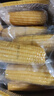 京鲜生 东北黄玉米260g*10棒 真空包装黏玉米棒粘玉米 源头直发 实拍图