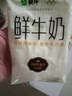 每日鲜语蒙牛透明小白袋鲜牛奶180ml*12/箱巴氏杀菌鲜牛奶 实拍图