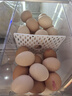 京鲜生可生食标准鲜鸡蛋30枚礼盒装3斤 源头直发 实拍图