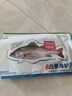 仙泉湖三去白蕉海鲈鱼 400g/条净膛冷冻刺少肉厚特产食材生鲜水产 实拍图