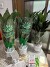 【热销款】白掌一帆风顺盆栽水培植物室内花绿植红掌发财树吸甲醛 【店主推荐】特级白掌6-8株带花+早安盆+营养液 实拍图