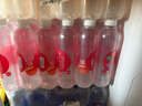 依能 西柚味 无糖无汽弱碱苏打水饮料 500ml*24瓶 塑膜装 饮用水 实拍图