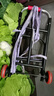 皮乃登手拉车折叠搬运家用神器拖车买菜购物拉货手推车便携行李小拉杆车 中号20pu轮（加粗加固）承重80 实拍图