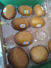 佳沛（zespri）新西兰  阳光金奇异果10粒礼盒巨大果单果约144-175g 水果 猕猴桃 实拍图