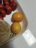 京鲜生 云南油皮金桔/金橘 净重1斤 单果12g起  生鲜水果 实拍图
