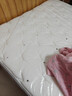 喜临门白骑士床垫政府补贴加厚进口乳胶护脊黄麻 独袋弹簧家用 白骑士plus【指定尺寸闪送】 1.8*2米 实拍图