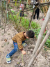 ABC KIDS儿童运动鞋经典款毛毛虫鞋秋季男童鞋百搭潮女童潮鞋 蓝/黄色 27 实拍图
