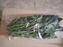 大菠菜300g 实拍图