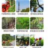 邦赛克5%环嗪酮铜除灌木杂草杂灌蔓藤烂根型荒地灭生性农药除草剂 实拍图