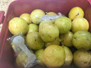 鲜青录广西黄金百香果钦蜜9号新鲜水果黄色白香果西番莲鸡蛋果 净重5斤（单果40-60g） 实拍图