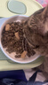 LEGENDSANDY蓝氏全价猫粮成猫幼猫生骨肉冻干粮 猎鸟乳鸽1.5kg 实拍图