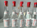 古贝春  白板酒 浓香型白酒   42度  山东地产白酒   475ml*6瓶/箱 42%vol 475mL 6瓶 整箱购买 实拍图