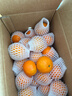 京鲜生 广西砂糖橘 净重4.5斤 单果45-55mm  生鲜礼盒 源头直发包邮 实拍图
