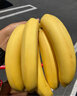 都乐Dole 菲律宾甜蕉2斤盒装 香甜软糯 生鲜水果 源头直发 包邮 水果 实拍图