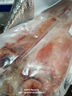 朵芙 海参斑鱼 多规格 红鱼净重 红石斑鱼大眼鱼富贵鱼深海鱼生鲜鱼类 【尝鲜特大】2斤净重*2条 实拍图