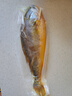 海名威 宁德黄花鱼600g/条 大黄鱼 深海鱼 生鲜鱼类 海鲜水产 地标产品 实拍图