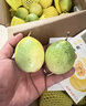 京鲜生 钦蜜9号黄金百香果 5斤单果60g+ /35-45个生鲜水果奶茶 源头直发 实拍图