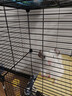 宠趣汇龙猫松鼠笼子柜笼超大号多层加密家用大别墅花枝鼠密袋鼬专用笼子 无轮2层【37_37_78】 基础款【托盘+爬梯+笼子】 实拍图