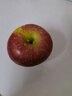京鲜生 云南昭通丑苹果 净重4斤装 单果130g起 新鲜水果 实拍图