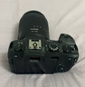 佳能（Canon）EOS RP 全画幅微单数码相机 24-105标准镜头套装 （约2620万像素/轻巧便携） 实拍图