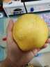 京鲜生 河北雪花梨 净重5斤 单果200g+ 雪梨 生鲜水果 源头直发 实拍图