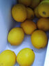 京鲜生 安岳黄柠檬 4粒 单果95g起 生鲜水果 实拍图