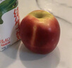 乐淇（ROCKIT）进口火箭筒苹果 5粒超大筒装 单筒465g起 生鲜 新鲜水果 实拍图