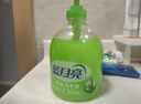 蓝月亮洗手液泡沫丰富滋润保湿芦荟健康抑菌99.9%500g*12瓶12斤 实拍图