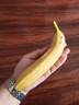 佳农 进口香蕉净重4斤（约10-12根）单根蕉 独立装 生鲜水果 新鲜包邮 实拍图