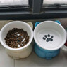 憨憨乐园猫碗陶瓷猫粮双碗斜口狗碗狗盆狗粮宠物幼猫咪吃饭食盆喝水喂食 实拍图