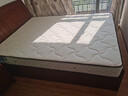 喜临门 椰棕床垫 邦尼尔弹簧床垫 抑菌防螨床垫 极光白2S 1.5x2米 偏硬 实拍图
