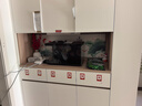 米家（MIJIA）小米米家智能生态鱼缸还原自然生态补仓一次三月无忧出差旅行必备 实拍图