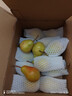 京地达烟台太婆梨软梨净重5斤单果150g+新鲜香蕉大头啤酒梨源头直发包邮 实拍图