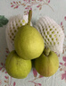 京鲜生 新疆库尔勒香梨 净重5斤 一级 单果100g-120g  生鲜水果 实拍图