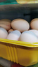 京鲜生柴鸡蛋30枚 3斤 无抗生素 谷物喂养鲜鸡蛋 源头直发 实拍图