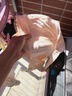 千奈美内衣女大胸显小薄款无痕无钢圈全罩杯收副乳文胸 柔雾粉  L 实拍图