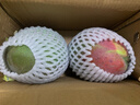 玖原农珍 四川攀枝花凯特芒果净果4.5斤优选芒果200g+ 当季新鲜水果 实拍图