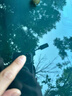 serfeey汽车玻璃修复液前挡风裂纹痕修补鱼缸镜子刮划痕裂缝胶水工具 实拍图